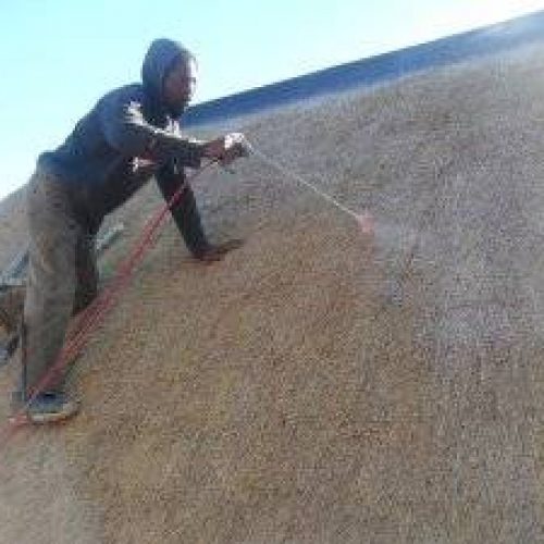 Document from Web yangu